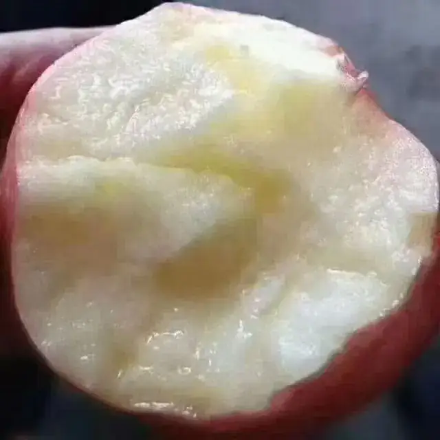 陕西红富士苹果果肉实拍